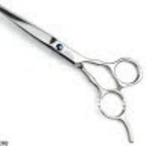 Meet your Posher, Laurel